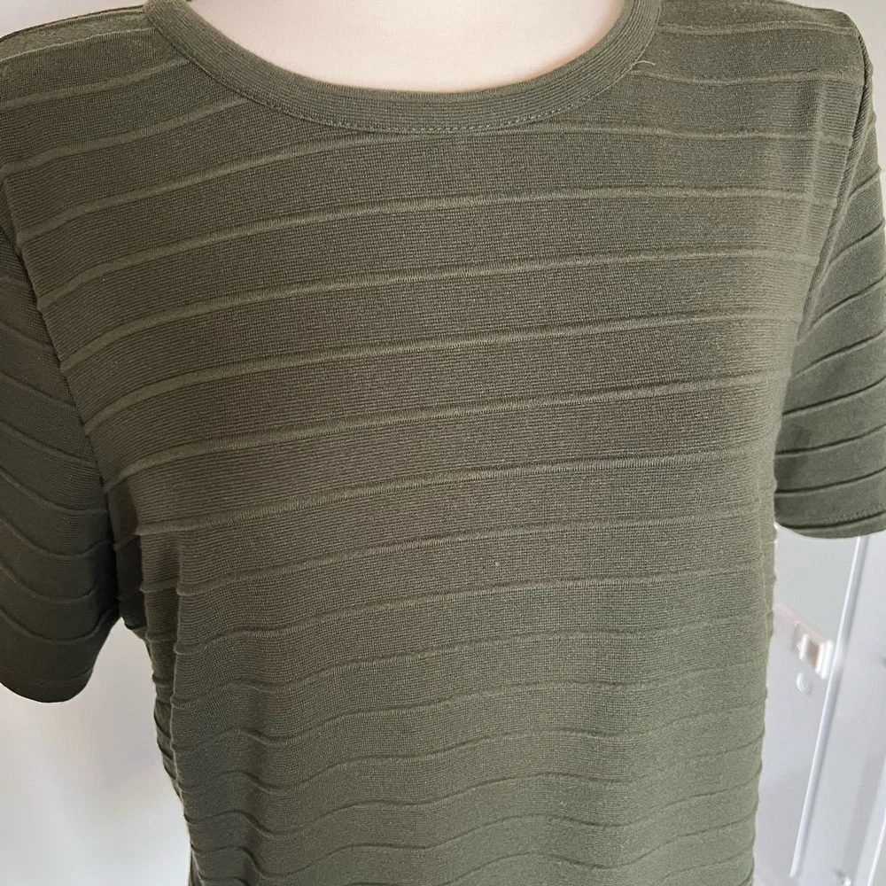 Fit and Flare Plus Green Dress from Anthropologie in 1X - Picture 5 of 7